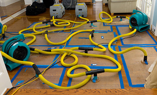 Professional Crawl Space Water Removal technician working in Johnston, SC